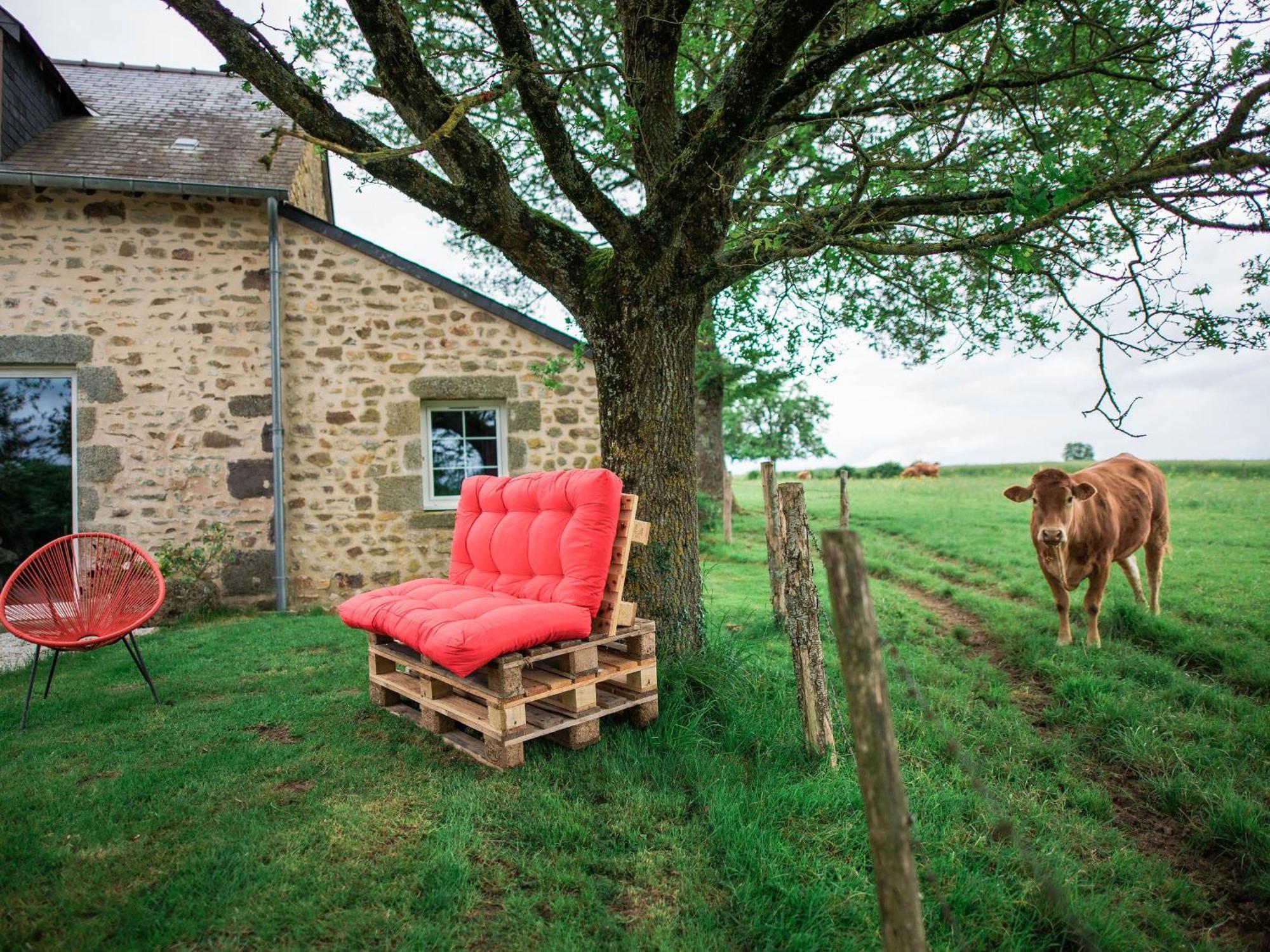 Gite De Charme Renove Avec Cheminee, Terrasse Et Proche Randonnees - Capacite 13 Pers. - Fr-1-410-179 Saint-Léonard-des-Bois المظهر الخارجي الصورة